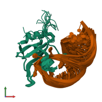 PDB entry 6gbm coloured by chain, ensemble of 20 models, front view.