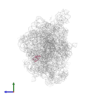 Large ribosomal subunit protein uL30 in PDB entry 6gc0, assembly 1, side view.