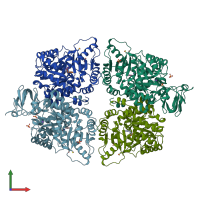 PDB entry 6gg4 coloured by chain, front view.