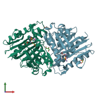 PDB entry 6gj0 coloured by chain, front view.