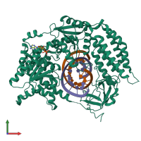 PDB entry 6gkm coloured by chain, front view.