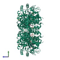 Homo tetrameric assembly 1 of PDB entry 6gmc coloured by chemically distinct molecules, side view.