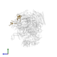 DNA-directed RNA polymerase II subunit RPB9 in PDB entry 6gml, assembly 1, side view.