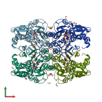 PDB entry 6gpk coloured by chain, front view.
