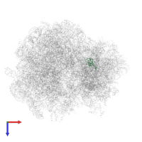 Small ribosomal subunit protein uS17A in PDB entry 6gq1, assembly 1, top view.