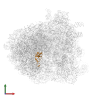 Large ribosomal subunit protein uL16 in PDB entry 6gqb, assembly 1, front view.