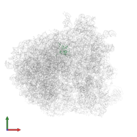 Large ribosomal subunit protein uL14A in PDB entry 6gqb, assembly 1, front view.