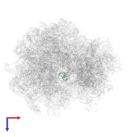 Large ribosomal subunit protein uL14A in PDB entry 6gqb, assembly 1, top view.