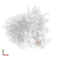 Small ribosomal subunit protein uS7 in PDB entry 6gqv, assembly 1, front view.