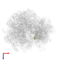 Small ribosomal subunit protein uS13A in PDB entry 6gqv, assembly 1, top view.