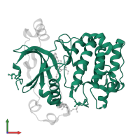 Aurora kinase C in PDB entry 6gr8, assembly 1, front view.