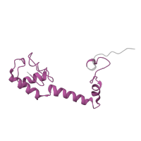 The deposited structure of PDB entry 6gsj contains 2 copies of Pfam domain PF00416 (Ribosomal protein S13/S18) in Small ribosomal subunit protein uS13. Showing 1 copy in chain M [auth 4I].