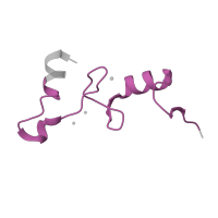 The deposited structure of PDB entry 6gsj contains 2 copies of Pfam domain PF00253 (Ribosomal protein S14p/S29e) in Small ribosomal subunit protein uS14. Showing 1 copy in chain N [auth 5I].