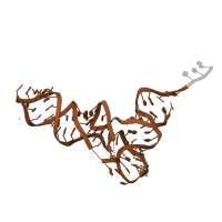 The deposited structure of PDB entry 6gsj contains 2 copies of Rfam domain RF00005 (tRNA) in tRNAThr. Showing 1 copy in chain V [auth 1K].