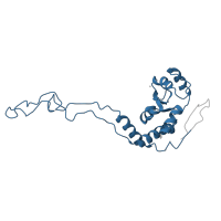 The deposited structure of PDB entry 6gsj contains 2 copies of Pfam domain PF00573 (Ribosomal protein L4/L1 family) in Large ribosomal subunit protein uL4. Showing 1 copy in chain FC [auth 39].