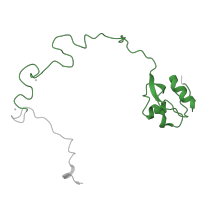 The deposited structure of PDB entry 6gsj contains 2 copies of Pfam domain PF00828 (Ribosomal proteins 50S-L15, 50S-L18e, 60S-L27A) in Large ribosomal subunit protein uL15. Showing 1 copy in chain JA [auth 78].