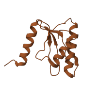 The deposited structure of PDB entry 6gsj contains 2 copies of Pfam domain PF00861 (Ribosomal L18 of archaea, bacteria, mitoch. and chloroplast) in Large ribosomal subunit protein uL18. Showing 1 copy in chain MA [auth A8].