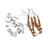 The deposited structure of PDB entry 6gsj contains 2 copies of Pfam domain PF00189 (Ribosomal protein S3, C-terminal domain) in Small ribosomal subunit protein uS3. Showing 1 copy in chain C [auth 2E].