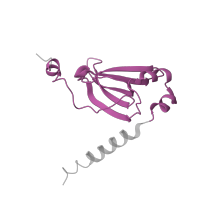 The deposited structure of PDB entry 6gsj contains 2 copies of Pfam domain PF01245 (Ribosomal protein L19) in Large ribosomal subunit protein bL19. Showing 1 copy in chain PC [auth 75].