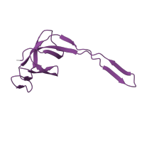 The deposited structure of PDB entry 6gsj contains 2 copies of Pfam domain PF00829 (Ribosomal prokaryotic L21 protein) in Large ribosomal subunit protein bL21. Showing 1 copy in chain RC [auth 95].