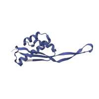 The deposited structure of PDB entry 6gsj contains 2 copies of Pfam domain PF00237 (Ribosomal protein L22p/L17e) in Large ribosomal subunit protein uL22. Showing 1 copy in chain SC [auth A5].