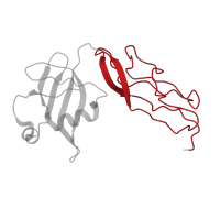 The deposited structure of PDB entry 6gsj contains 2 copies of Pfam domain PF14693 (Ribosomal protein TL5, C-terminal domain) in Large ribosomal subunit protein bL25. Showing 1 copy in chain VC [auth D5].