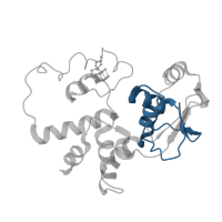 The deposited structure of PDB entry 6gsj contains 2 copies of Pfam domain PF01479 (S4 domain) in Small ribosomal subunit protein uS4. Showing 1 copy in chain FB [auth 32].