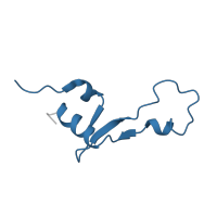 The deposited structure of PDB entry 6gsj contains 2 copies of Pfam domain PF01632 (Ribosomal protein L35) in Large ribosomal subunit protein bL35. Showing 1 copy in chain CD [auth M5].