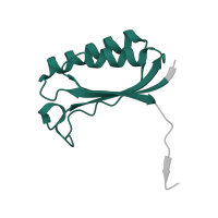 The deposited structure of PDB entry 6gsj contains 2 copies of Pfam domain PF01250 (Ribosomal protein S6) in Small ribosomal subunit protein bS6. Showing 1 copy in chain HB [auth 52].