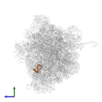 Large ribosomal subunit protein uL14 in PDB entry 6gsj, assembly 1, side view.