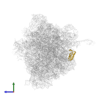 Small ribosomal subunit protein bS6 in PDB entry 6gsj, assembly 1, side view.