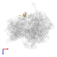 Small ribosomal subunit protein bS6 in PDB entry 6gsj, assembly 1, top view.