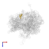 Small ribosomal subunit protein uS11 in PDB entry 6gsl, assembly 1, top view.