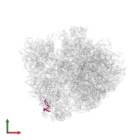 Small ribosomal subunit protein bS16 in PDB entry 6gsl, assembly 1, front view.