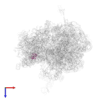 Small ribosomal subunit protein bS16 in PDB entry 6gsl, assembly 1, top view.