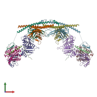 PDB entry 6gvw coloured by chain, front view.