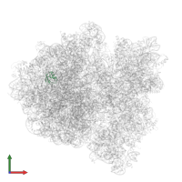 Large ribosomal subunit protein uL30 in PDB entry 6gxm, assembly 1, front view.