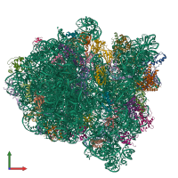 PDB entry 6gxn coloured by chain, front view.