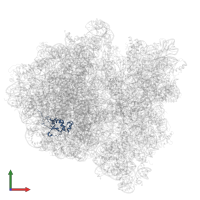 Large ribosomal subunit protein uL13 in PDB entry 6gxn, assembly 1, front view.