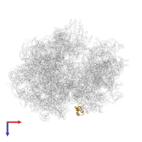 Small ribosomal subunit protein bS6, non-modified isoform in PDB entry 6gxn, assembly 1, top view.