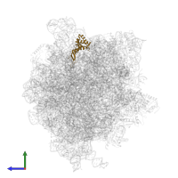 Small ribosomal subunit protein uS7 in PDB entry 6gxn, assembly 1, side view.