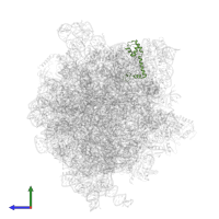 Small ribosomal subunit protein uS13 in PDB entry 6gxn, assembly 1, side view.