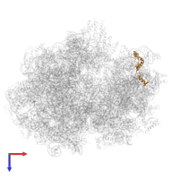 Small ribosomal subunit protein uS14 in PDB entry 6gxn, assembly 1, top view.