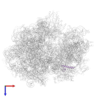 Small ribosomal subunit protein bS21 in PDB entry 6gxn, assembly 1, top view.