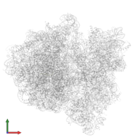 Apidaecin in PDB entry 6gxn, assembly 1, front view.