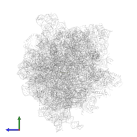 Apidaecin in PDB entry 6gxn, assembly 1, side view.