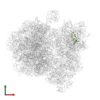 Small ribosomal subunit protein uS14 in PDB entry 6gxp, assembly 1, front view.