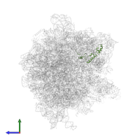 Small ribosomal subunit protein uS14 in PDB entry 6gxp, assembly 1, side view.