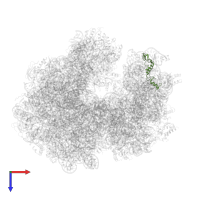 Small ribosomal subunit protein uS14 in PDB entry 6gxp, assembly 1, top view.
