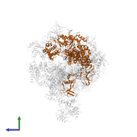 DNA-directed RNA polymerase II subunit RPB2 in PDB entry 6gyl, assembly 1, side view.